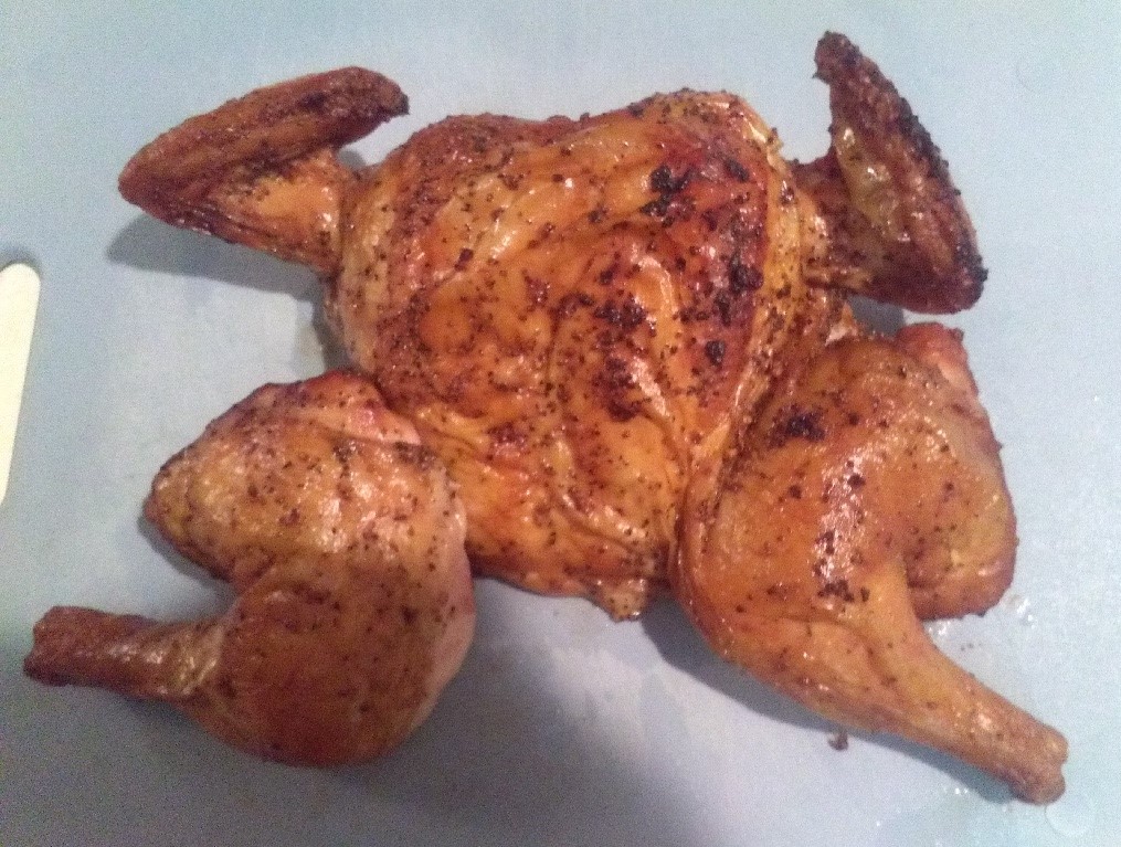 28 May Smoked Chicken.JPG