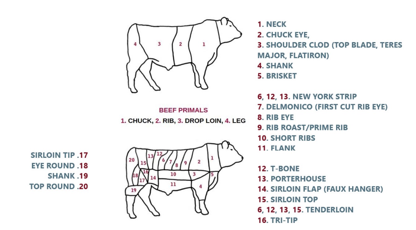 beef cuts.jpg