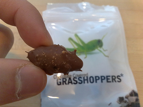 chocolategrasshoppers.jpg
