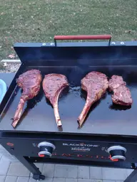 searing.webp