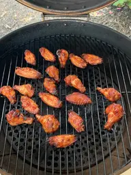 Wing1.webp