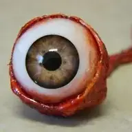 Vitreous Humour