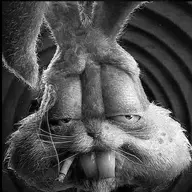 VogonPoet