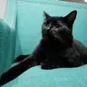 N0viceSm0ker