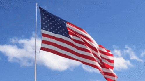 american-flag-usa.gif